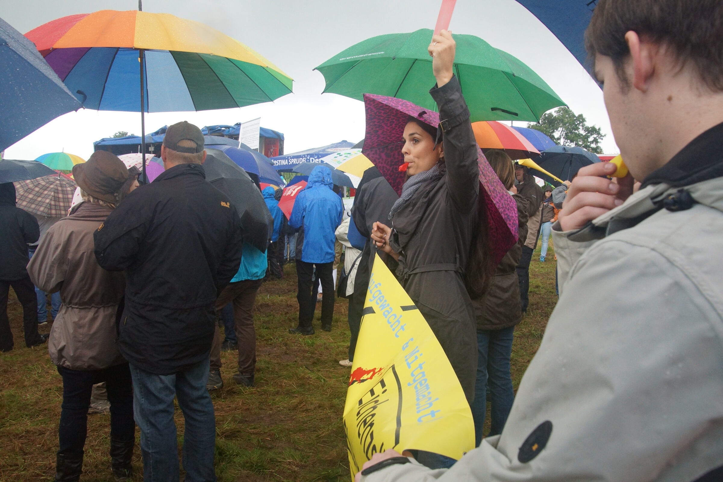 20140921 Demo Freiensteinau 019 DSC09928.jpg